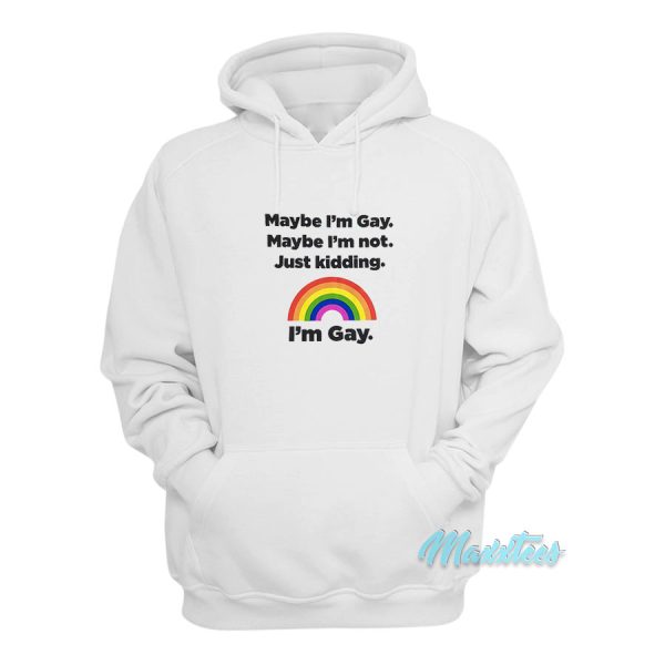 Maybe I’m Gay Maybe I’m Not Just Kidding I’m Gay Hoodie