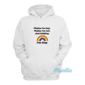 Maybe Im Gay Maybe Im Not Just Kidding Im Gay Hoodie 2