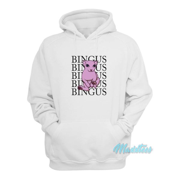 Praise Bingus Cat Hoodie