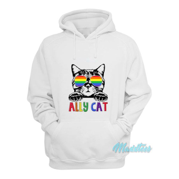 Pride Ally Cat Hoodie