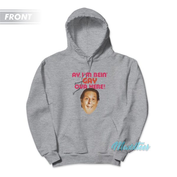 Sean Rinaldi For Comptroller Ay I’m Bein’ Gay Ova Here Hoodie