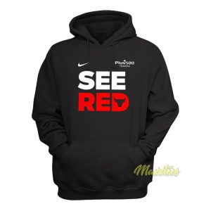 See Red Chicago Bulls Hoodie 1