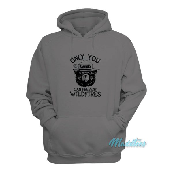 Smokey Bear Only You Can Prevent Wildfires Hoodie