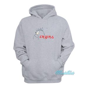 Sonic Crying Totoro Hoodie 1