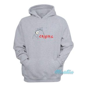 Sonic Crying Totoro Hoodie 2