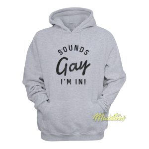Sounds Gay I'm In Hoodie 1