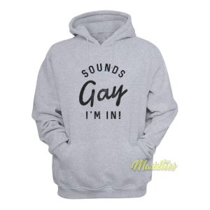 Sounds Gay I'm In Hoodie 2