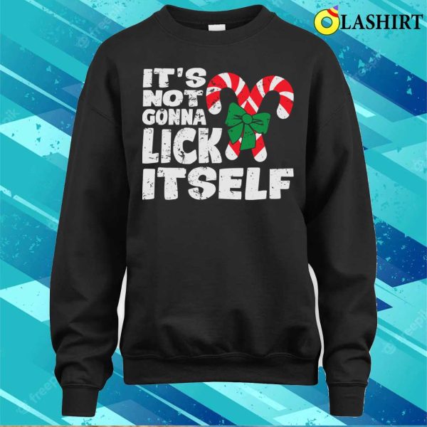 It’s Not Gonna Lick Itself Funny Naughty Christmas T-shirt