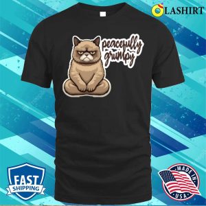 Peacefully Grumpy Quote A Grumpy Cat Meditating Zen T shirt 1