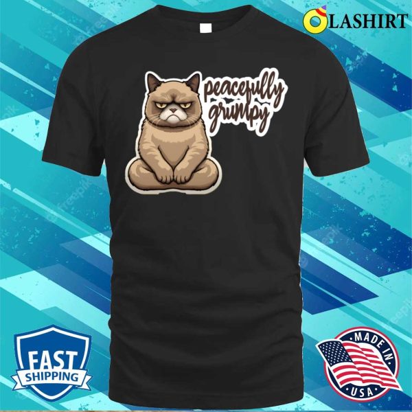 Peacefully Grumpy Quote A Grumpy Cat Meditating Zen T-shirt