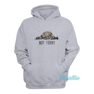 Star Wars Not Today Hoodie 1