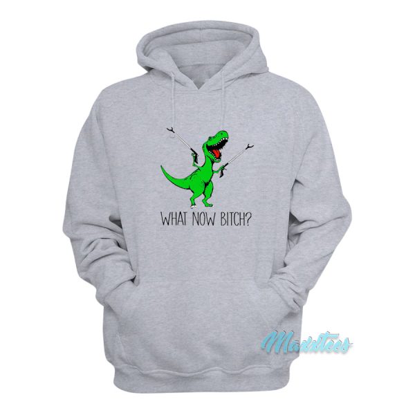 T-Rex Dinosaur What Now Bitch Hoodie