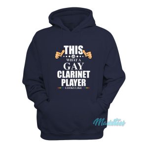 This Is What A Gay Clarinet Player Looks Like Hoodie 1