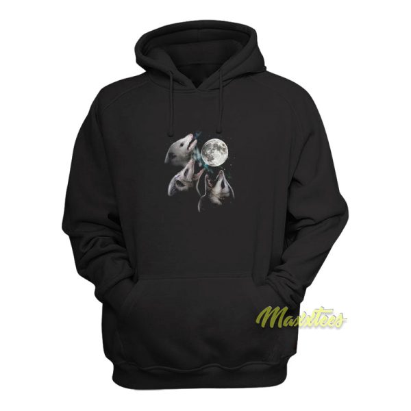 Three Possum Moon Hoodie