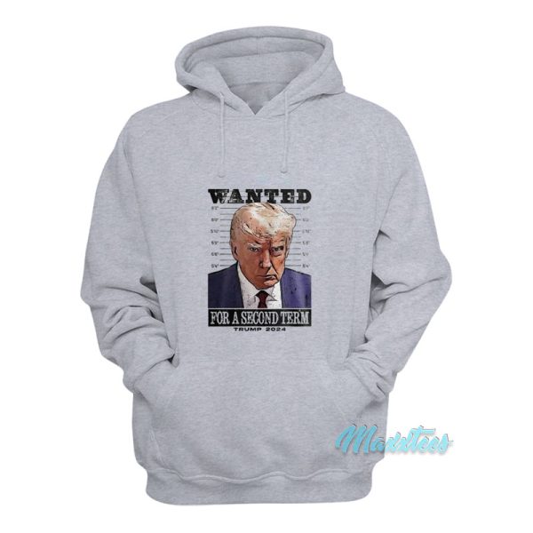 Warning For A Second Term Trump 2024 Hoodie