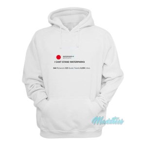 Waterparks I Cant Stand Waterparks Hoodie 2