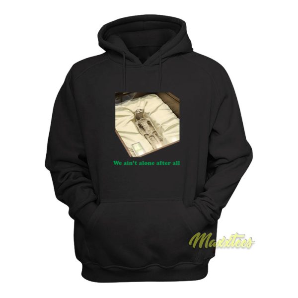 We Ain’t Alone After All Hoodie