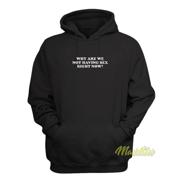 Why Are We Not Having Sex Right Now Hoodie