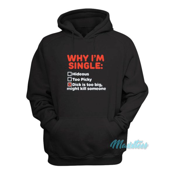 Why I’m Single Hideous Too Picky Dick Is Too Big Hoodie