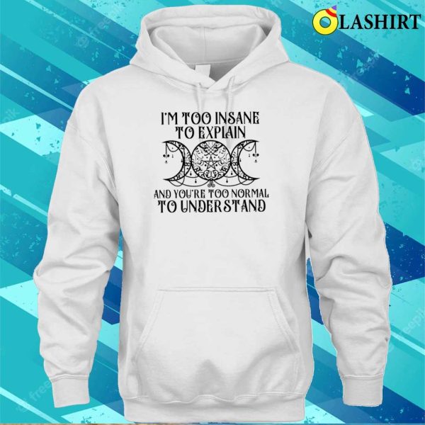 Witch I’m Too Insane To Explain And You’re Too Normal To Understand Shirt, Funny Witch Shirt