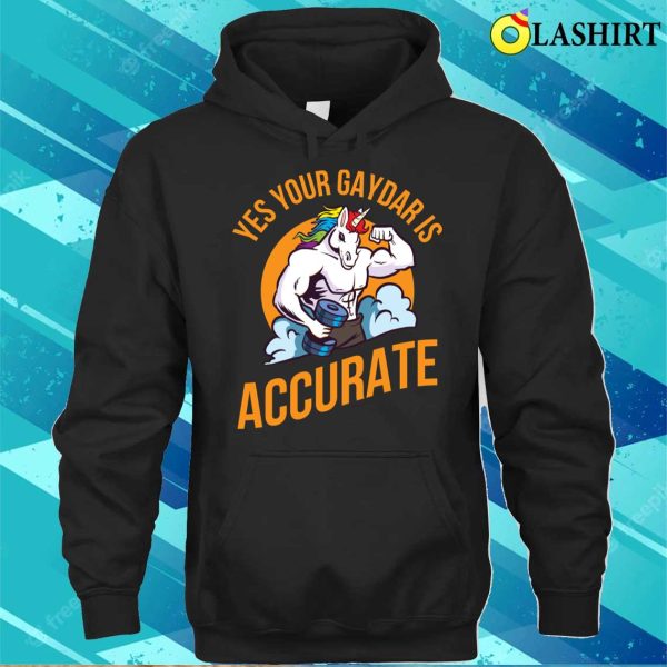 Yes Your Gaydar Is Accurate T-shirt, Yes Your Gaydar Is Accurate Funny Gay Gift T-shirt