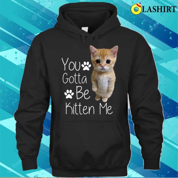 You Gotta Be Kitten Me T-shirt, You Gotta Be Kitten Me Funny Cat T-shirt