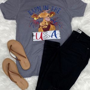 Barn in The USA-YOUTH