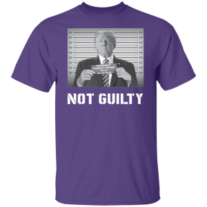 Not Guilty 2