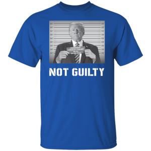 Not Guilty 3