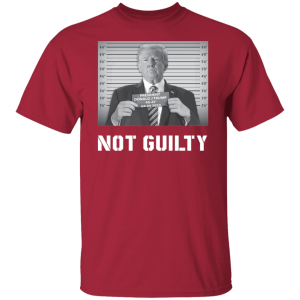 Not Guilty 6