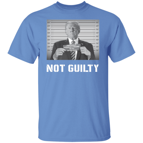 Not Guilty