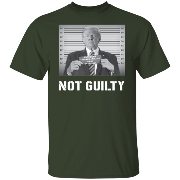 Not Guilty