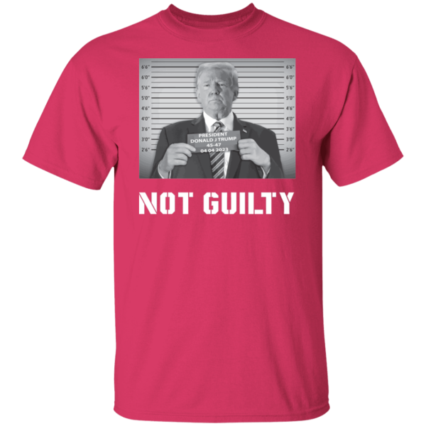 Not Guilty