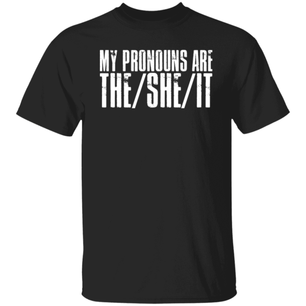 Pronouns Are