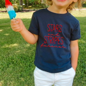 Stars and Stripes Puff Print 2