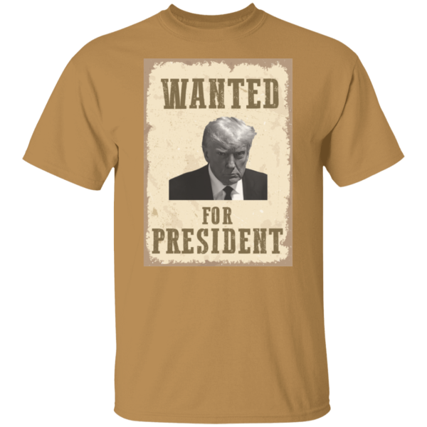 Wanted For President