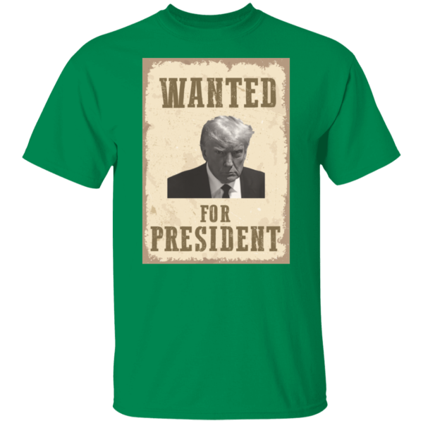 Wanted For President