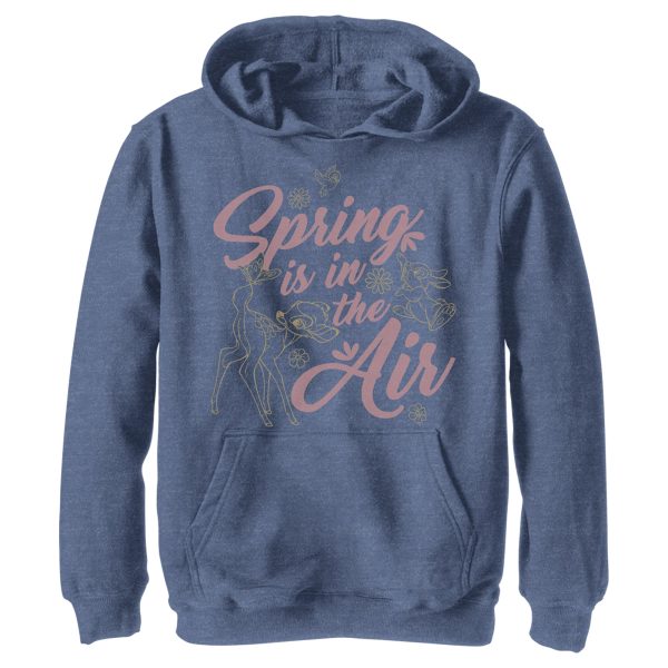 Boy_s Bambi Spring is in the Air Pull Over Hoodie