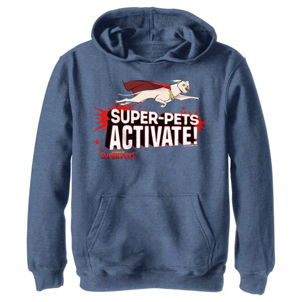 Boy_s DC League of Super-Pets Krypto Super-Pets Activate Pull Over Hoodie