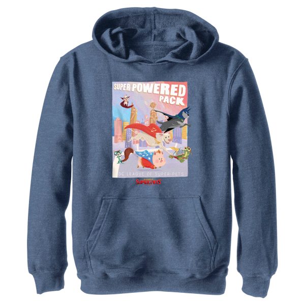 Boy_s DC League of Super-Pets Powered Pack Poster Pull Over Hoodie