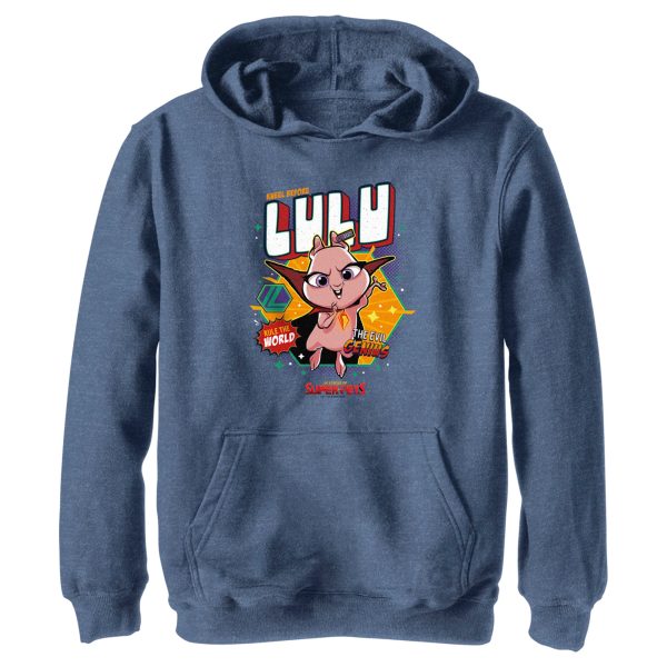 Boy_s DC League of Super-Pets Rule the World Lulu Badge Pull Over Hoodie