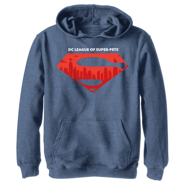 Boy_s DC League of Super-Pets Skyline Superman Crest Pull Over Hoodie