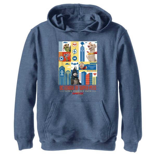 Boy_s DC League of Super-Pets Super Powered Pack Panels Pull Over Hoodie