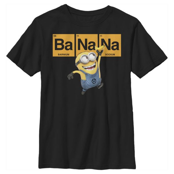 Boy_s Despicable Me Minions Elements T-Shirt