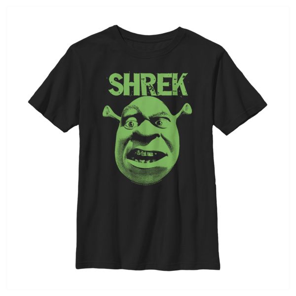 Boy_s Shrek Big Face Eyebrow Raised T-Shirt