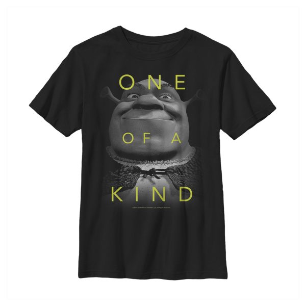 Boy_s Shrek One of a Kind T-Shirt