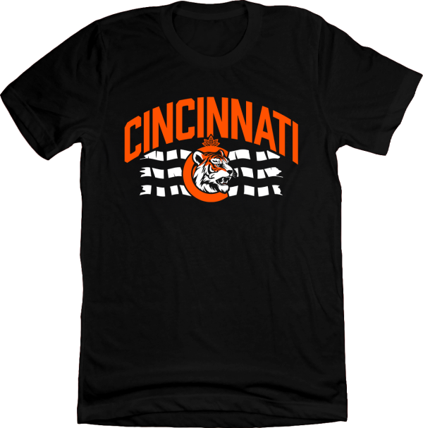 Cincinnati Flag Dey