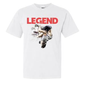 LEGEND Backflip Fan 2