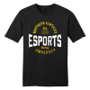 NKU Esports Est. 2021