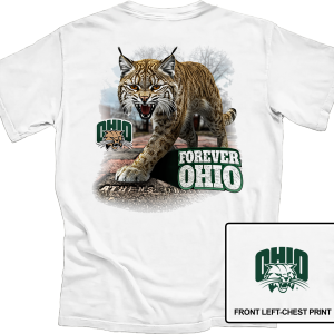 Ohio University Forever Ohio Bobcat Brick Walk 1